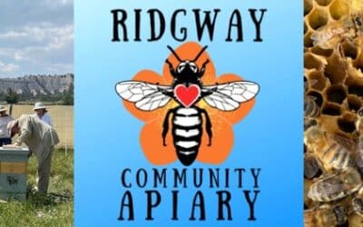 Ridgway Apiary