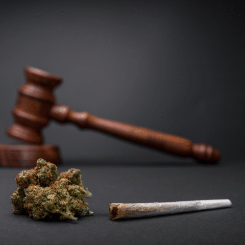Advantages of Cannabis Legalization