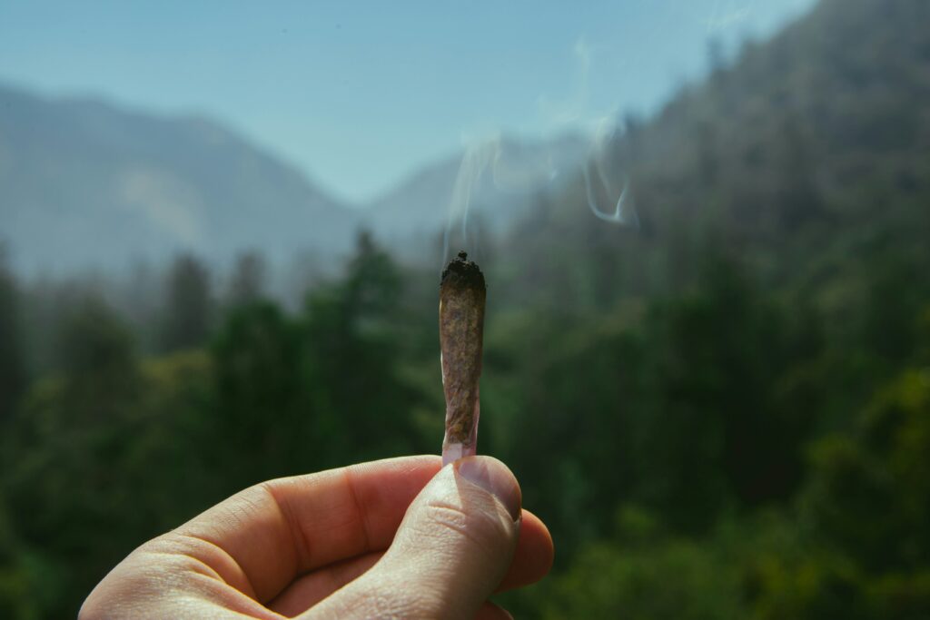 cannabis-dispensary-preroll